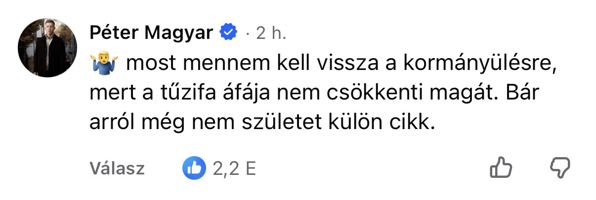 100 nap, 100 topkomment Magyar Pétertől