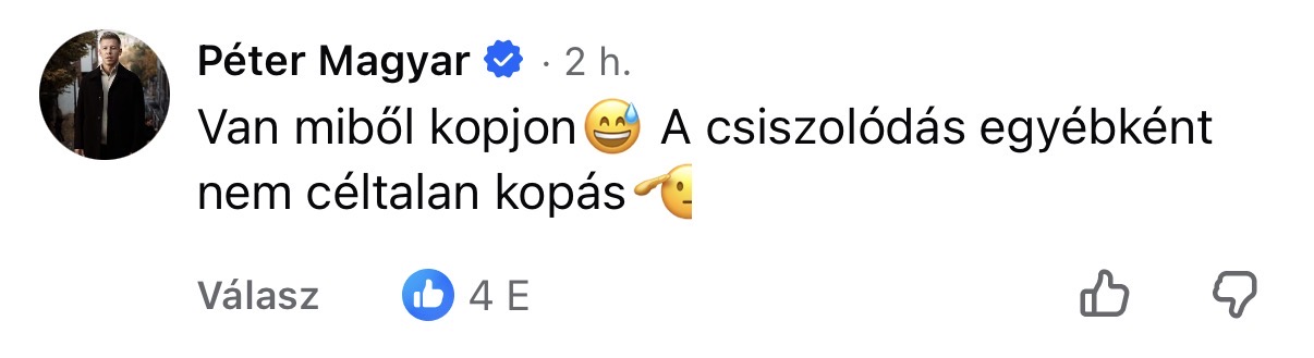 100 nap, 100 topkomment Magyar Pétertől
