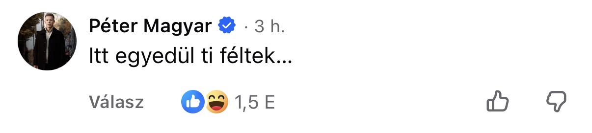 100 nap, 100 topkomment Magyar Pétertől