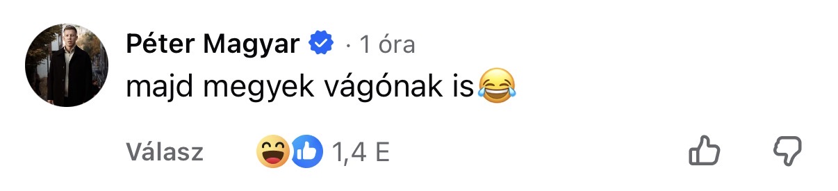 100 nap, 100 topkomment Magyar Pétertől