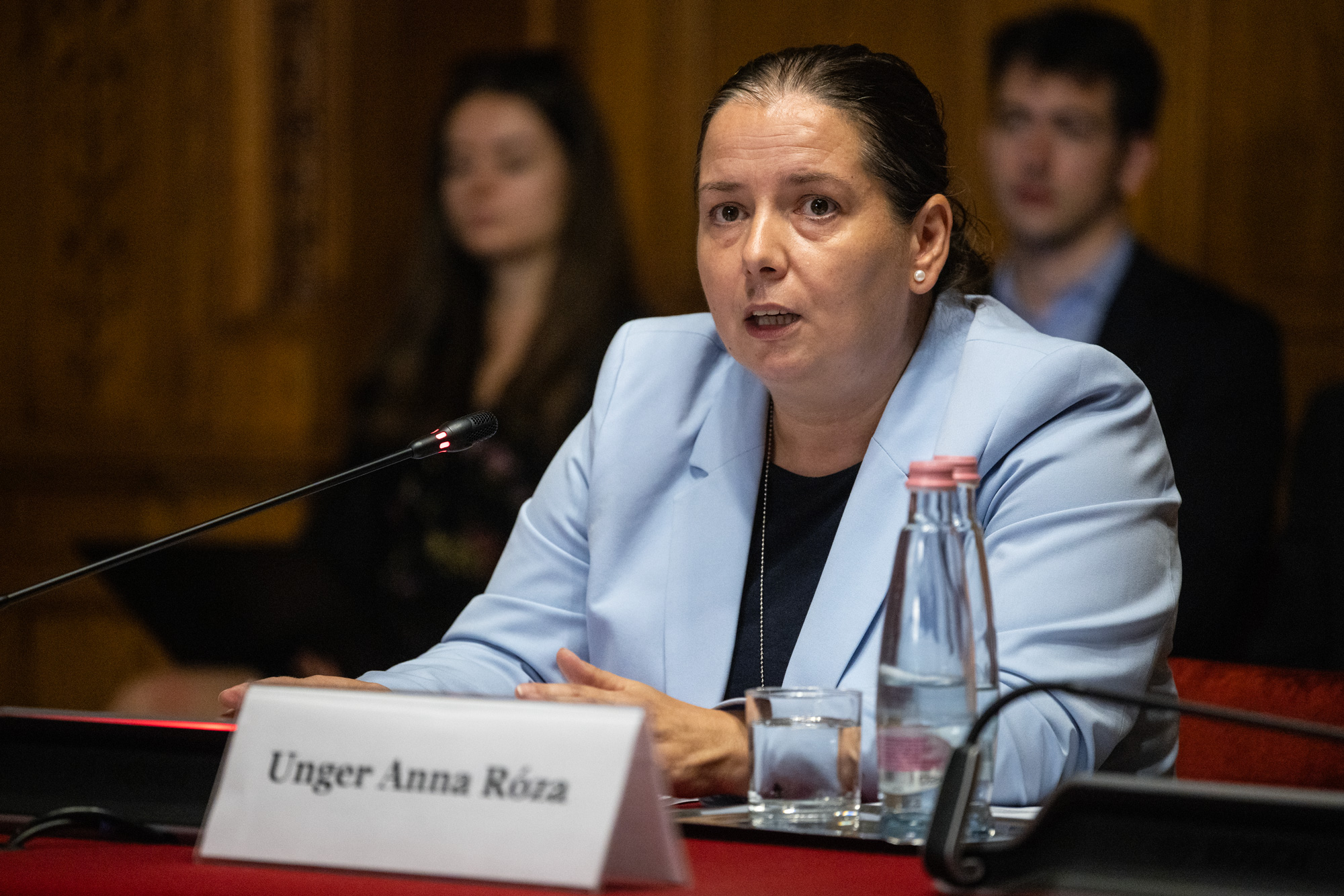 Újabb furcsa ülésen végül Unger Annát jelölte a bizottság a Nemzeti Vagyonvédelmi és Vagyonvisszaszerzési Hivatal vezetőjének