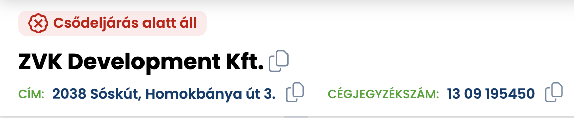 Balázs Attila újabb építőcége jelentett csődöt