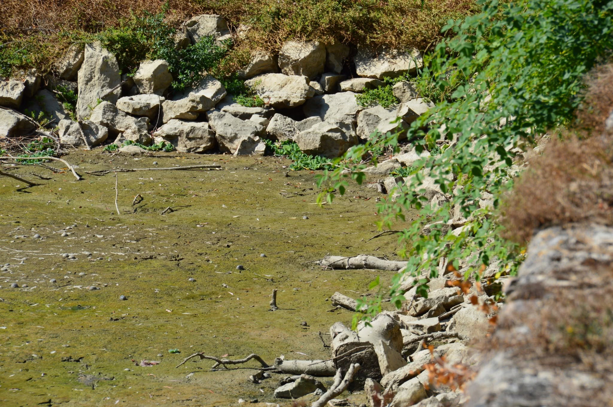 Kiszáradt a Zirci Arborétum tava is
