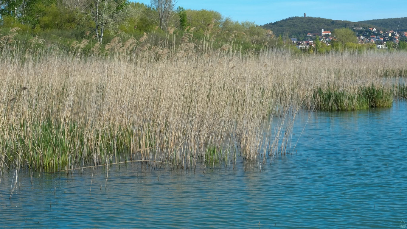 A Balaton legnagyobb ellensége nem az alacsony vízszint, hanem ami a tó partján történik