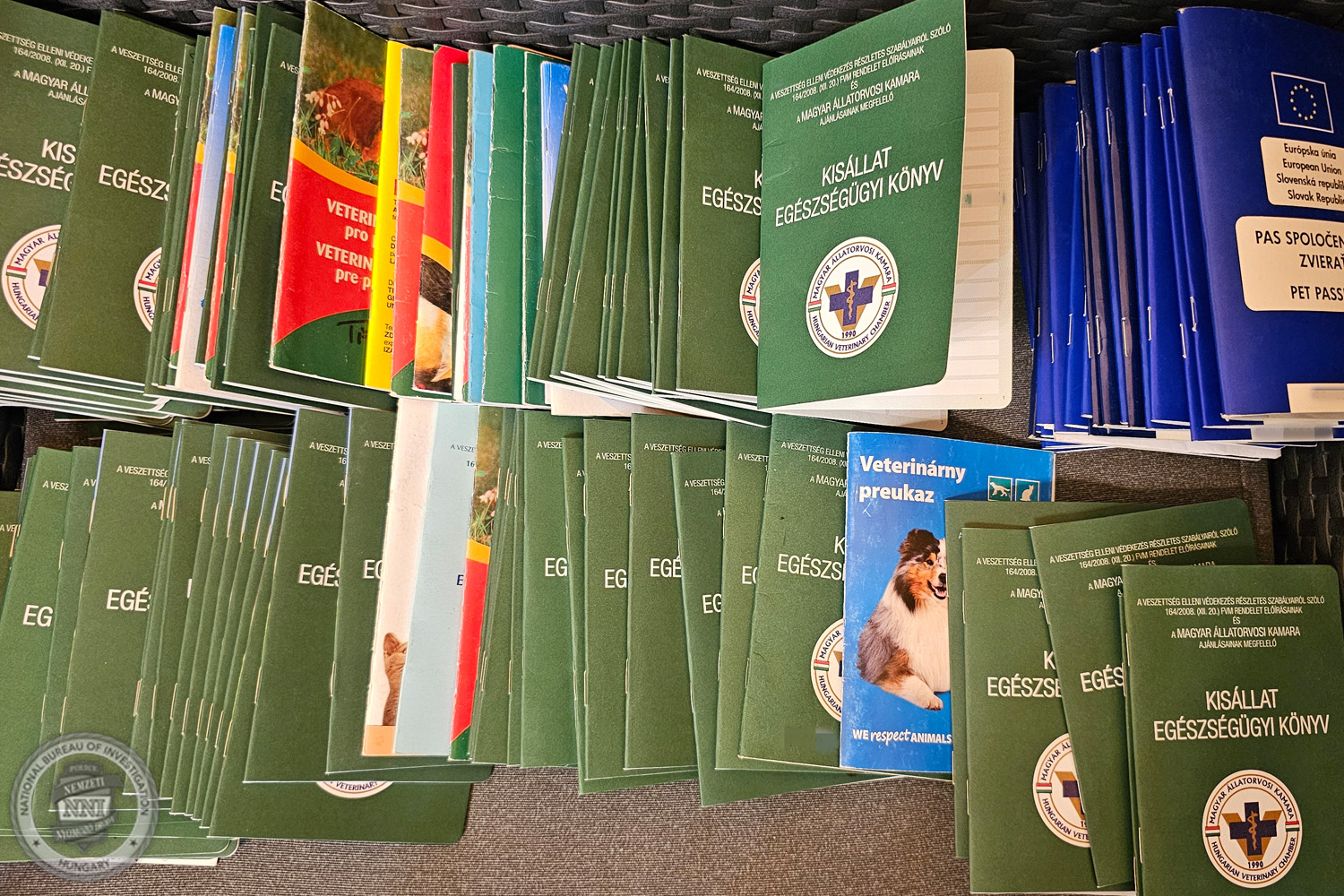 Nemzetközi illegális kutyakereskedelemmel gyanúsít állatorvosokat és kereskedőket az NNI