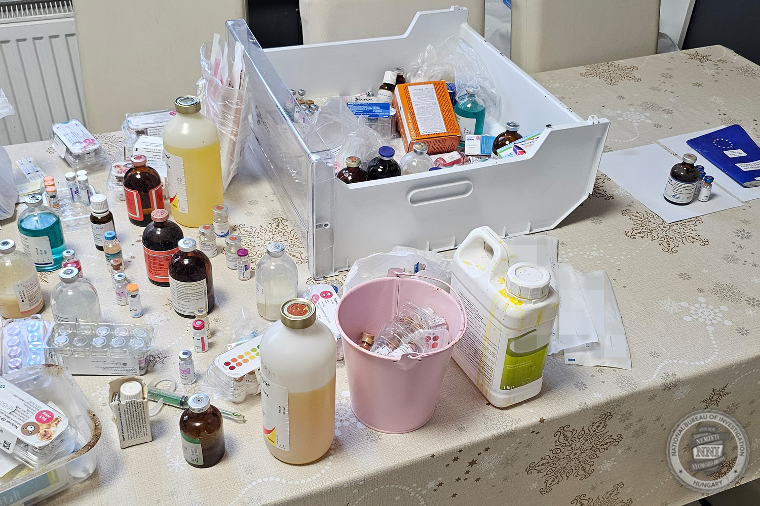 Nemzetközi illegális kutyakereskedelemmel gyanúsít állatorvosokat és kereskedőket az NNI