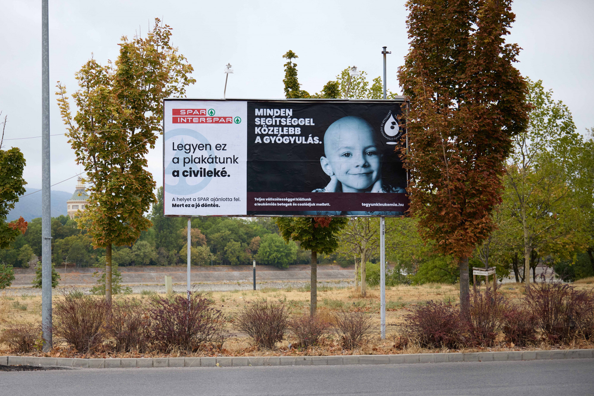 Amikor a civileké lett az utca - 12 fontos ügy közel 500 óriásplakáton