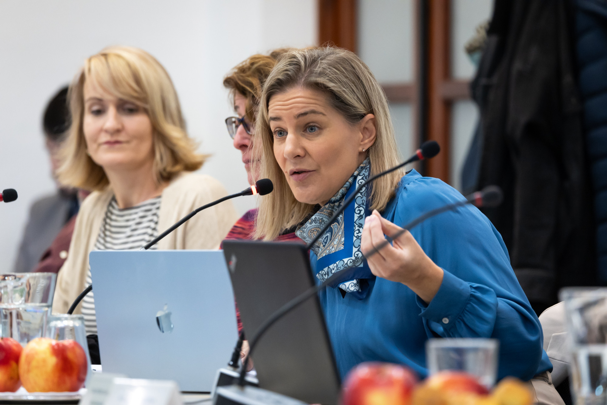 Összeállt a „nagykoalíció": a Fidesz és a Kutyapárt együtt akadályozta meg a hegyvidéki testület feloszlatását