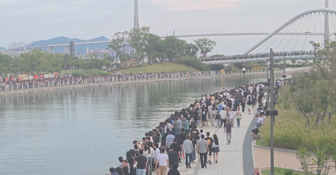 Nagy erőket mozgósítottak, hogy a koreai celebcápát kivigyék a nyílt tengerre, de az mindig visszaúszik kedvenc városába