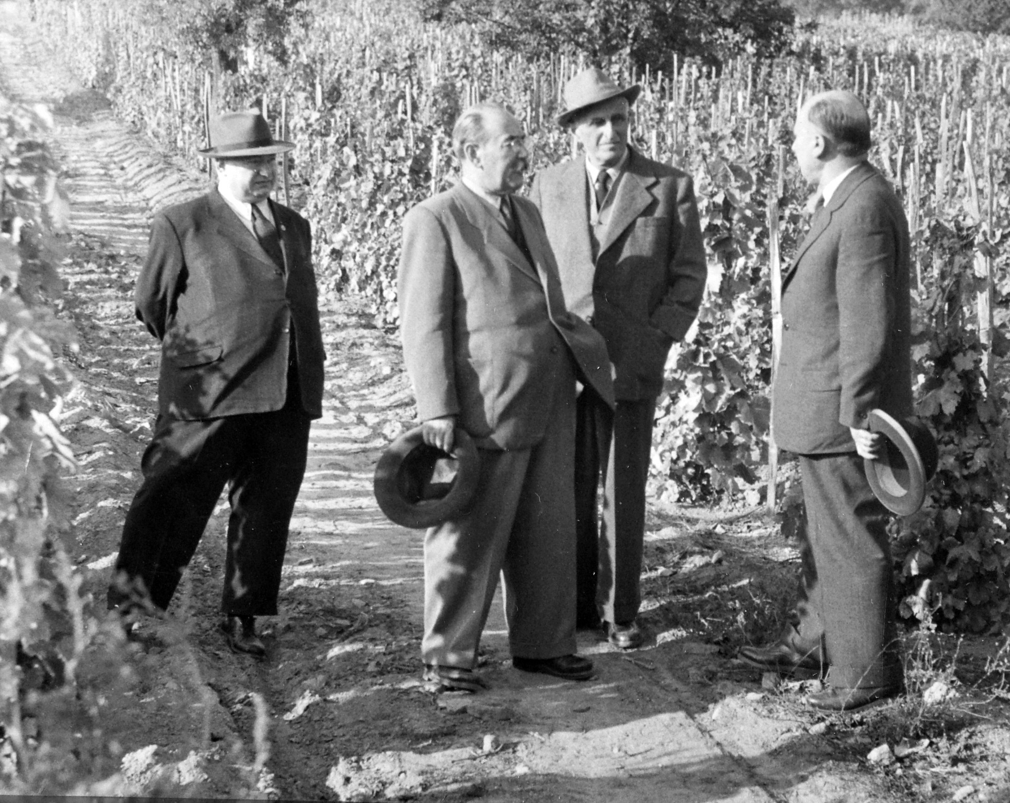 1956 előzményei: Amikor az intézményesített hazugság rendszere összeomlik